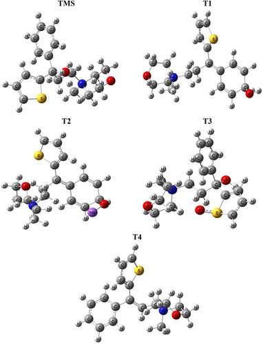 Figure 4. Optimized structures of all drugs (TMS, T1, T2, T3 and T4) with B3LYP/6-31+G(d,p) theory.