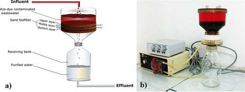 Figure 1. Laboratory sand biofilter: design (a); experimental setup (b).