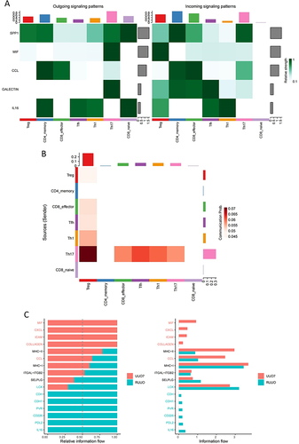 Figure 10 (A) Global intercellular communication intensity from each T cell subsets to other subsets. (B) The major ligand-receptor pair pattern associated MIF signaling pathway contribution to intercellular communication based on gene expression. (C) The heatmap of MIF signal network based on the contributions to the cell-cell communication among T cell subsets. (D) Relative information flow of the significant signaling pathway in UUO7 and rUUO group.