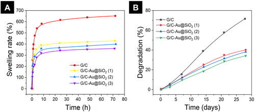 Figure 4. A) Swelling ratio of pure G/C and G/C-Au@SiO2 HNPs containing various ratios incubated in PBS buffer for different time intervals. B) Degradation of pure G/C and G/C-Au@SiO2 HNPs containing various ratios.