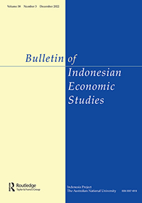 Cover image for Bulletin of Indonesian Economic Studies, Volume 58, Issue 3, 2022