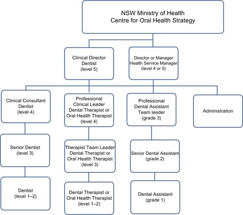 Figure 4 Professional clinical support structure for therapists, as outlined by clinical directors and health service managers in most local health districts.