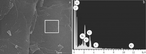 Figure 5. SEM images of (a) GO-DTPAA adsorbed uranium and (b) the EDS image of GO-DTPAA adsorbed with U(VI).