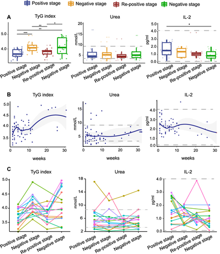 Figure 5 TyG index, Urea, and IL-2 in re-positive patients of COVID-19 at different stages. (A) TyG index, Urea, and IL-2 at different stages of the COVID-19 patients. The TyG index of the re-positive patients at positive and re-positive stage was lower than that of the negative stage, and the difference was statistically significant. The X-axis represents the stage of the patient’s course, which is segmented based on RT-PCR results, and the Y-axis is the value of the index. (B) Thirty-weeks temporal expressions of TyG index, Urea, and IL-2. The X-axis represents the time from onset to nucleic acid testing and the Y-axis is the value of the index. (C) Dynamic changes of TyG index, Urea, and IL-2 in re-positive patients of COVID-19 at different stages. The X-axis represents the stage of the patient’s course, which is segmented based on RT-PCR results, and the Y-axis is the value of the index.