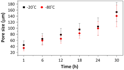 Figure 2. Pore sizes of the prepared porous chitosan scaffolds at different temperatures and times.