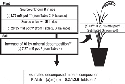 Figure 3. Estimation of decomposed mineral composition by the integrated data obtained from the pot experiment where rice (Oryza sativa ‘Hokuriku 193ʹ) was cultivated together with K and Si balance estimation and sequential extraction of soil Al. Elemental concentrations are given in mol (weight divided by atomic weight)