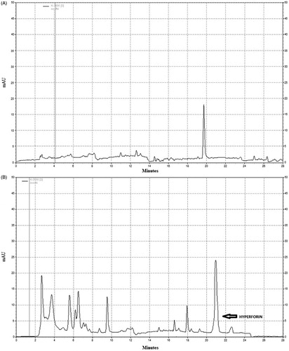 Figure 1. HPLC chromatogram of (A) reference hyperforin standard with retention time ≈20 min (at 273 nm). (B) The peak in the HPLC chromatogram of St. John’s wort extract was identified by comparing the retention time and UV spectra of hyperforin in the sample with reference standards of hyperforin.