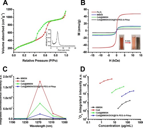 Figure 3 Characterization of the nanocomposites.Notes: (A) Nitrogen absorption/desorption isotherms of MSN. Inset: the pore size distributions of MSN. (B) Hysteresis loop of samples normalized to the mass by VSM. Inset: photographs of a nanocomposite aqueous solution without (left) and with (right) magnetic field. (C) Near-infrared spectrogram of the samples. (D) Singlet-oxygen production of the samples in DMF.Abbreviations: MSN, mesoporous silica nanoparticle; DMF, N,N-dimethylformamide; NIB, neodymium, iron, and boron magnet.