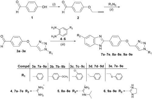 Scheme 1. Synthesis of 2,5-disubstituted benzimidazoles. (i): propargyl bromide, K2CO3, EtOH, reflux; (ii): corresponding azides, CuSO4, Cu(0), DMF, t-BuOH: H2O = 1: 1, 80 °C; (iii): o-phenylenediamine (4–6), NaHSO3, EtOH, reflux; HCl/MeOH, room temperature.