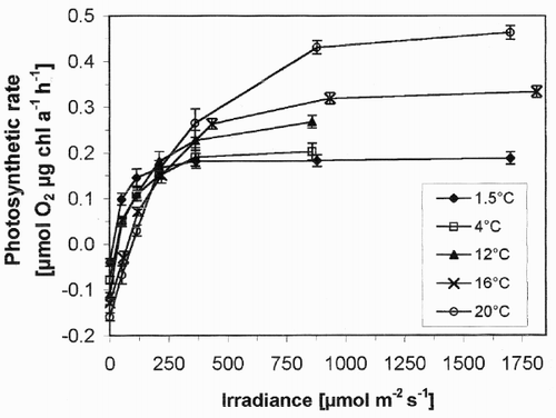 Fig. 2. Net photosynthesis vs. irradiance curves for snow algae at different temperatures. Values are means of three independent records, and error bars are standard deviations.