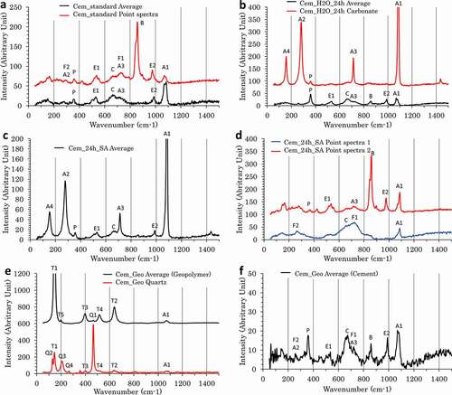 Figure 2. Raman spectra in the range 100–1500 cm−1 of samples cem_standard (a), cem_24 h_H2O (b), cem_24 h_SA (c and d), and cem_geopolymer (e and f).