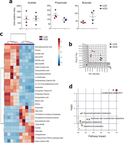 Figure 5. Metabolic profiles were altered by cellulose intake. (a) Levels of SCFA and (b-d) non-targeted metabolomics of cecal contents from LCD- and HCD-fed mice analyzed using LC-MS (n = 5/group). (b) Principal component analysis (PCA) plot showing clustering between groups. (c) Differentially enriched metabolites were selected and clustered in a heatmap. (d) Pathway analysis summary of significant changes in metabolite levels between LCD- and HCD-fed mice (obtained by MetaboAnalyst 4.0) shows pathway impact score from pathway topology analysis on x-axis and negative log (p-values) from pathway enrichment analysis on y-axis. Statistical analyses were conducted using Student’s t-test.
