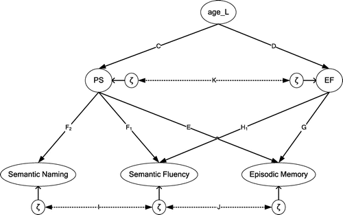 Figure 1. Illustration of theoretical model of processing speed (PS) and executive functioning (EF) explaining age-related variance in episodic and semantic memory, based on an integration of literature findings that formed the basis for the tested hypotheses (see also Table 4, section II).