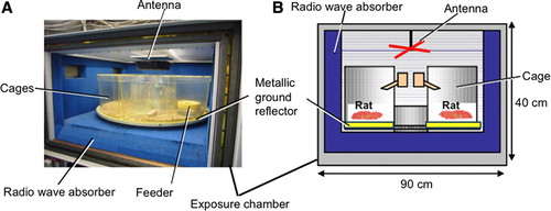 Figure 2. Exposure setup. A) Gross appearance of the inside of an exposure chamber with four animal cages; B) Schematic illustration of the exposure box.