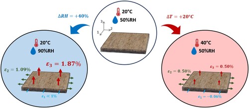 Figure 5. Comparison between cFF/PBAT dimensional variations induced by a surrounding relative humidity increase of 40% and a temperature increase of 20°C.