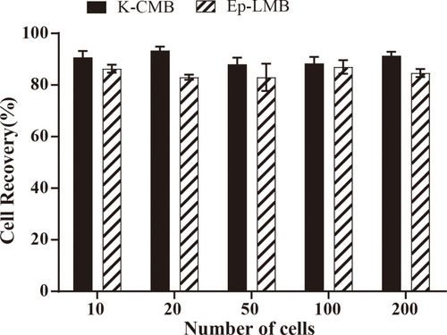 Figure 4 Capability of K-LMB and Ep-LMB to capture KRAS mutated LoVo colorectal cancer cells.