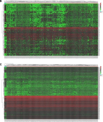 Figure 2 Heatmaps based on the differentially expressed RNAs in CRC and normal tissues.