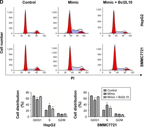 Figure 6 Overexpression of Bcl2L10 partially reversed the function of miR-18a on HCC cell proliferation in vitro.