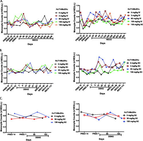 Figure 3. No reduction of monocyte counts in nonclinical cynomolgus macaque toxicology studies dosed with ordesekimab surrogate Hu714MuXHu. Mean absolute monocyte counts were derived from blood samples from control- or Hu714MuXHu-dosed groups at the indicated days of pretreatment (PRED), dosing (DSNG) and recovery (RECO) study phases. (A) One-month study with Chinese-origin cynomolgus macaque (n = 5/sex/group). (B) Three-months study with Chinese-origin cynomolgus macaque (n = 6/sex/group). (C) Six-months study with Mauritius-origin cynomolgus macaque (n = 4/sex/group). Data from male (left column, filled symbols) and female (right column, open symbols) animals were presented in separate graphs.