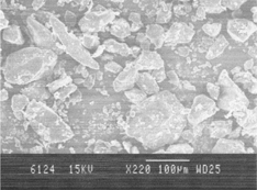 FIG. 1 SEM of Tamarindus indica polysaccharide (magnification 220×).