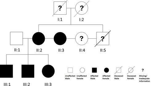 Figure 4 Pedigree of the M family.