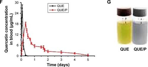 Figure 1 Characterization of PEG-b-(PELG-g-PZLL) and QUE/P.Notes: (A) a, PEG-b-PBLG; b, PEG-b-PELG; c, PEG-b-(PELG-G-PZLL). FTIS of PEG-b-(PELG-g-PZLL); (B) TEM image of QUE/P; (C) a, particle size of P; b, particle size of QUE/P; (D) cumulative release profile of QUE/P; (E) cellular viability of HeLa cells cultured with different concentrations of PEG-b-(PELG-g-PZLL); (F) blood concentration of free QUE and QUE from QUE/P; (G) solution color of QUE and QUE/P.Abbreviations: PEG-b-(PELG-g-PZLL), poly(ethylene glycol)-b-(poly(ethylenediamine l-glutamate)-g-poly(ε-benzyloxycarbonyl-l-lysine)); QUE/P, quercetin/PEG-b-(PELG-g-PZLL); FTIS, Fourier transform infrared spectroscopy; TEM, transmission electron microscopy.