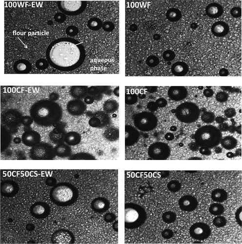 Figure 5. Optical images of the muffin batters formulated with different selected CF:CS ratios (0:0, 100:0, and 50:50) with and without incorporated egg white (EW).