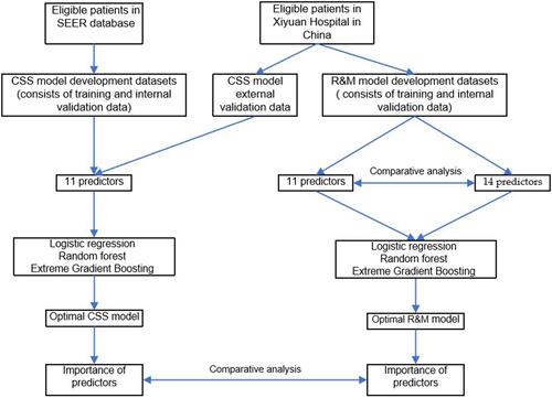 Figure 1 Flow chart of study design.