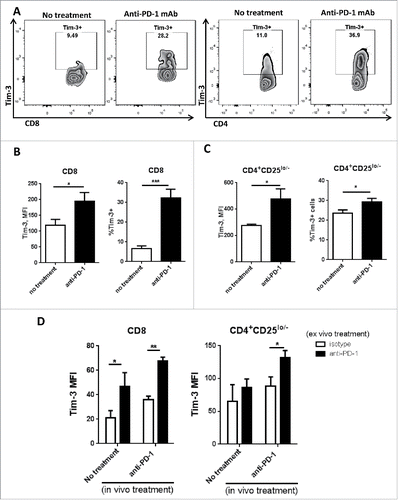 Figure 4. Tim-3 is upregulated in TIL after in vivo anti-PD-1 treatment, and is further upregulated upon in vitro PD-1 blockade in murine HNC model. C57BL/6 mouse were injected 1 × 106 MEER cells in the neck, anti-mouse PD-1 mAb was given as treatment; all the mouse were scarified around day 36 after injection of tumor cells. Freshly isolated tumor-infiltrating lymphocytes from murine HNC model were analyzed for Tim-3 expression by flow cytometry. (A) Representative flow plots of Tim-3 expression pattern in no treatment group and anti-PD-1 treated group were shown in CD8+ and CD4+CD25lo/− T cells. (B, C) Summary data of Tim-3 MFI and %Tim-3+ cells in tumor-infiltrating CD8+ and CD4+CD25lo/− T cells. (n = 6) Significance were calculated by unpaired t test, *p < 0.05, **p < 0.001. (D) Freshly isolated splenocytes were incubated with anti-PD-1 mAb or IgG4 for 48 h and Tim-3 expression was assessed by flow cytometry. Summary data of Tim-3 MFI in CD8+ and CD4+ T cells from splenocytes.(n = 6) Significance were calculated by two-way ANOVA, *p < 0.05, **p < 0.001.