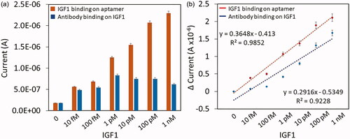 Figure 6. (a) Current level of IGF1 binding on aptamer and antibody binding on IGF1. Error bar indicates the averaged values from triplicates (n = 3) with the standard deviations. (b) Difference in current changes with IGF1 binding on aptamer and antibody binding on IGF1. Plotted by a linear graph and the limit of detection was found as 10 fM. The limit of detection (LOD) was considered the lowest concentration of an analyte (from the calibration line at low concentrations) against the background signal (S/N = 3:1), in other word, LOD = standard deviation of the baseline + 3σ.