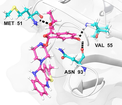 Figure 12. The most effective pose of compound Olanzapinium 2,5-dihydroxybenzoate with lowest re-rank score shows hydrogen bond interaction with a channel protein KCNA 1 (Residues in colour cyan, ligand in colour pink and hydrogen bond in black dots.)