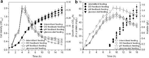 Figure 5. Effect of different feeding strategies on the cell density and growth rate of E. coli cells (a), as well as on the concentration of β1–ϵ protein and acetate (b).