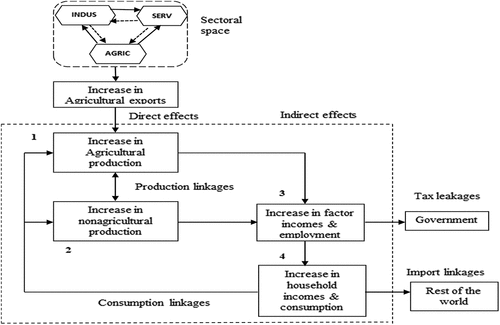 Figure 1. Conceptual framework on inter-sectoral linkages.