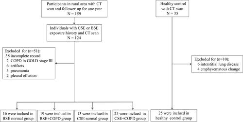 Figure 1 Flow chart of the study participants.