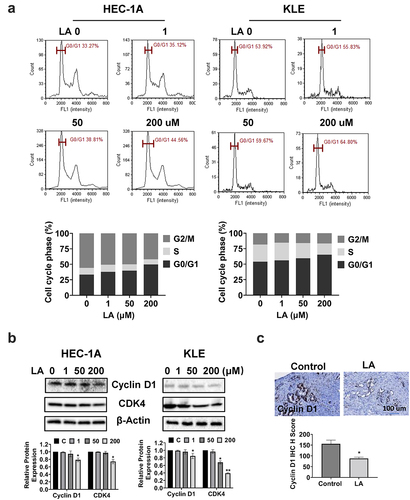 Figure 2. LA Induced cell cycle G1 arrest.