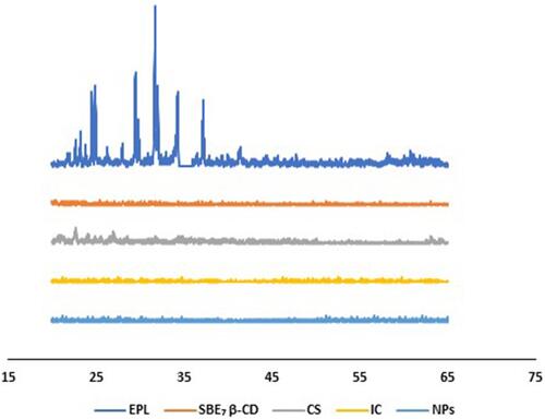 Figure 2 Powder X-ray diffraction analysis of EPL (epalrestat), SBE7 β-CD (sulfobutylether7 β-cyclodextrin), CS (chitosan), IC (inclusion complex), NPs (EPL complexed SBE7 β-CD loaded CS nanoparticles).