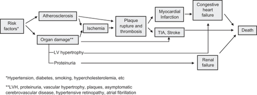 Figure 1 Cardiovascular disease continuum. Modified with permission from Dzau VJ, Antman EM, Black HR, et al. The cardiovascular disease continuum validated: clinical evidence of improved patient outcomes: part ii: Clinical trial evidence (acute coronary syndromes through renal disease) and future directions. Circulation. 2006;114(25):2871–2891.