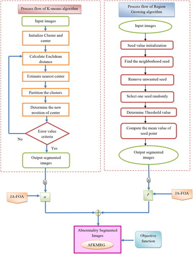 Figure 5. Abnormality segmentation using the AFKMRG fusion model.