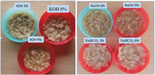Figure 2. Chemical treatment of nettle fibers.