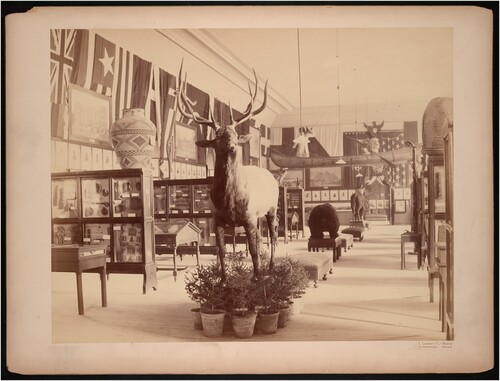 Figure 3. USNM ethnology displays at the Columbia Historical Exposition in Madrid, Spain (1892–1893). Photograph shows canoe of birch bark ‘manned’ by two mannequins of ‘Algonquin Indians’ (Report of the Colombian Historical Exposition at Madrid 1892: 183). Smithsonian Institution Archives, Record Unit 95, Box 64, Folder 02, Image No. SIA_000095_B64_F02_001