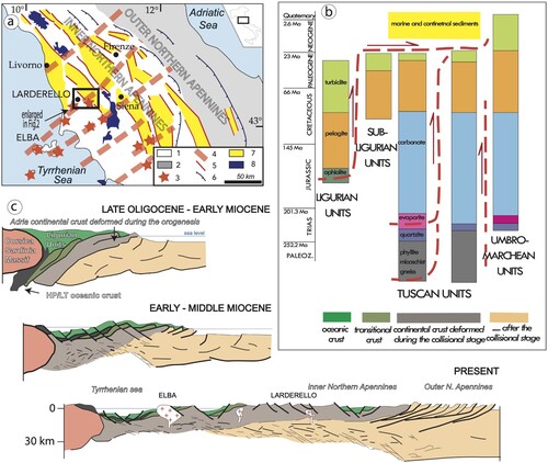 Figure 1 . Geological sketches illustrating the evolution of Northern Apennines: (a) Structural sketch map illustrating the relationships between the main Pliocene-Pleistocene basins and transfer zones in Tuscany. Symbols: 1 – inner Northern Apennines: this domain is characterized by a 22–24 thick crust; 2 – outer Northern Apennines with a 35–40 thick crust; 3 – Outcropping or drilled magmatic bodies; these are mainly located along the transfer zones (after CitationDini et al., 2008); 4 – transfer zones; 5 – normal faults; 6 – thrusts; 7 – Pliocene-Pleistocene marine to continental sediments; 8 – metamorphic rocks; (b) relationship between the different tectonic units of inner northern Apennines and related paleogeographic domains; (c) schematic geological cross-sections showing the collisional and post-collisional evolution in the inner zone of the northern Apennines (after CitationLiotta et al., 2021, modified).