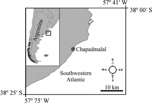 Figure 1  Study area showing the location where Schizymenia dubyi was collected.