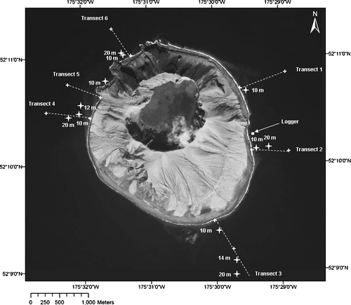 Figure 2 Transects and locations where sampling occurred via divers at 10 m and where observations were made with a drop camera at >10 m, June and August 2009.