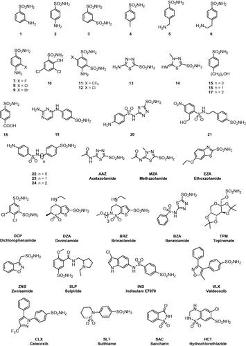 Figure 1. Sulphonamides/sulfamates 1–24 and AAZ-HCT investigated as inhibitors in the present study.