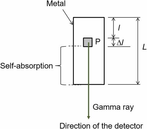 Figure 2. Gamma ray attenuation model for estimation of self-absorption.