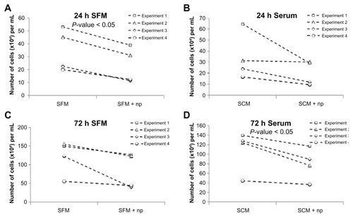 Figure 4 Nanoparticles have a minor cytotoxic effect on cells in both serum-containing and serum-free conditions. Graphs displaying the effects of incubating cells in (A and C) serum-free media with and without nanoparticles and (B and D) serum-containing media with and without nanoparticles. (A and B) Twenty-four hours and (C and D) 72 hours after a 15-minute incubation.Abbreviations: h, hours; np, nanoparticle; SCM, serum-containing media; SFM, serum-free media.
