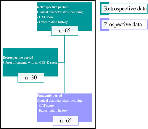 Figure 1 Schematic representation of data collection.