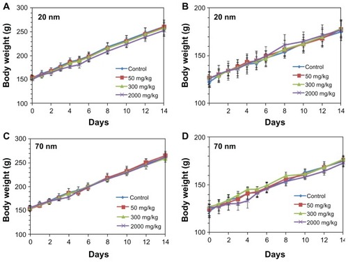 Figure 2 Body weight gain in male (A and C) and female (B and D) rats treated with 20 nm and 70 nm ZnO nanoparticles, respectively.Note: The data show no significant difference from the control group (P < 0.05).