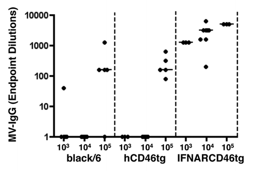 Figure 2. Dose response experiment. A) black/6, hCD46tg-A, and IFNARCD46tg mice were immunized i.m with 103, 104, or 105 pfu rMVb. Anti-measles N humoral immune response was determined by ELISA 4 wk post immunization. ELISA positivity is defined as 3 × over negative control sera.