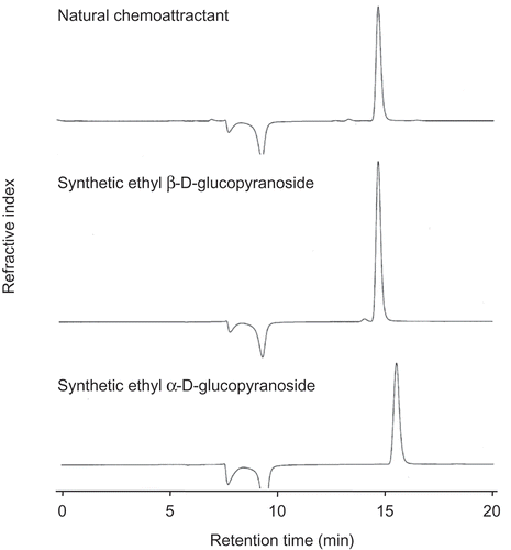 Figure 1. HPLC chromatograms of the natural chemoattractant and synthetic ethyl β- and α-D-glucopyranosides.